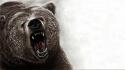 Animals artwork bears roar wallpaper