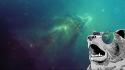 Bears outer space sunglasses wallpaper