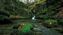 Landscapes nature trees moss waterfalls creek crystal wallpaper