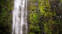 Nature hawaii cliffs usa moss hdr photography waterfalls wallpaper