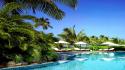 Palm trees swimming pools tropical wallpaper