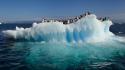 Water ocean nature penguins icebergs wallpaper