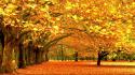 Fall pictures wallpaper