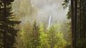 Forests fog waterfalls hidden dawning natural beauty wallpaper