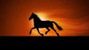 Horse running sunset wallpaper