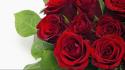 Hot red roses wallpaper