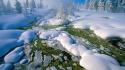 Nature winter snow trees national geographic wallpaper