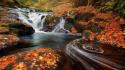 Orange rocks plants moss waterfalls colors creek wallpaper