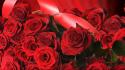 Red roses background wallpaper