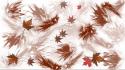 Abstract autumn leaves digital art fallen wallpaper