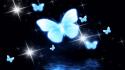 Abstract butterfly wallpaper
