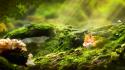 Animals mushrooms sunlight moss digital art foxes wallpaper