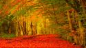 Autumn background wallpaper