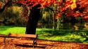 Autumn park bench wallpaper