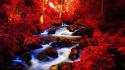 Autumn red streams riverside rivers forest wallpaper