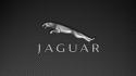 Jaguar car logo wallpaper