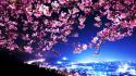 Japan cherry blossoms city lights cityscapes wallpaper
