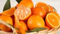Orange fruit wallpaper
