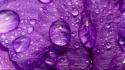 Purple wet drops wallpaper