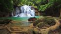 Rainforest waterfall pictures wallpaper
