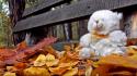 Autumn bench leaves loneliness teddy bears wallpaper