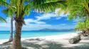 Beaches landscapes natural scenery nature palm trees wallpaper