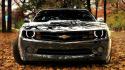 Chevrolet camaro autumn cars front view leaves wallpaper