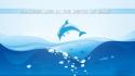 Dolphin cartoon wallpaper