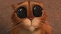 Eyes movies cats shrek big puss in boots wallpaper