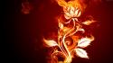 Flower fire abstract wallpaper