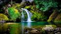 Forests waterfalls wallpaper