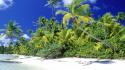 Palm beach solomon islands wallpaper