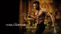 The wolverine hd s wallpaper