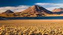 Andes atacama desert chile steppe beige wallpaper