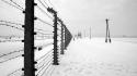 Auschwitz world war ii concentration camp prison wallpaper