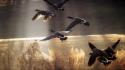 Canadian geese ducks flight wallpaper