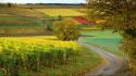 Countryside landscapes nature trail wallpaper