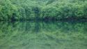 Green water japan landscapes trees lakes rivers wallpaper