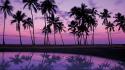 Oahu palm trees reflections sunset wallpaper