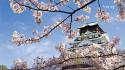 Temple cherry blossoms landscapes nature oriental wallpaper
