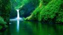 Waterfall forest background wallpaper