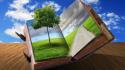 Abstract books roads trees wallpaper