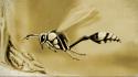 Artwork digital art drawings insects sepia wallpaper