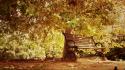 Autumn bench landscapes nature park wallpaper