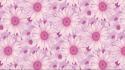 Backgrounds daisy flowers patterns pink wallpaper