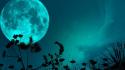 Moon blade grass night sky shadows wallpaper