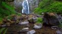 Rocks cliffs usa oregon ferns waterfalls rivers wallpaper