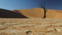 Barren deserts trees web wallpaper