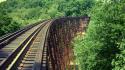 Bridges forests railroad tracks trees wallpaper