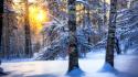 Hdr photography landscapes snow sunlight trees wallpaper